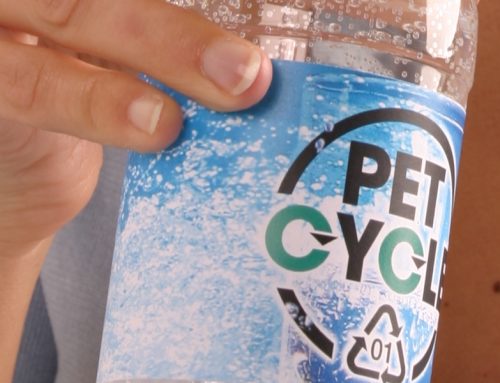 Nahezu alle PETCYCLE-Flaschen werkstofflich recycelt
