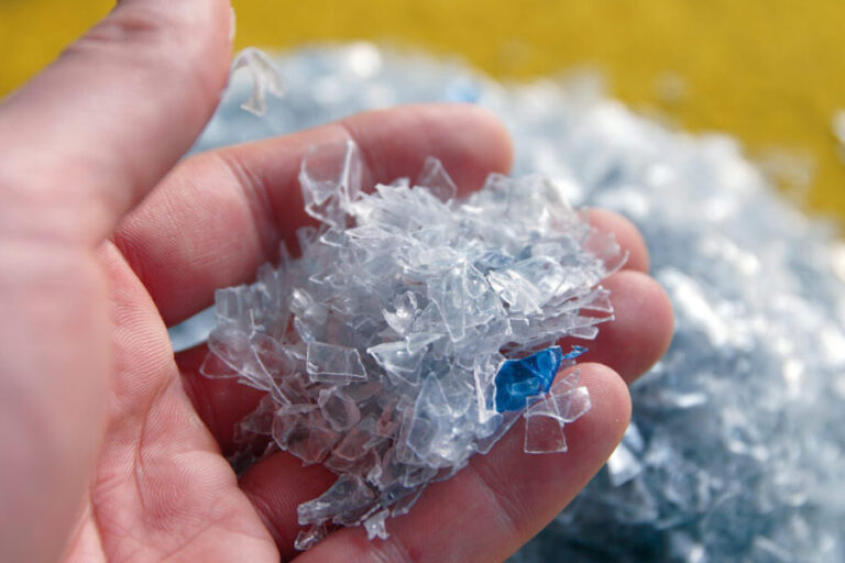 Petcycle Erfolgreiche Kreislaufwirtschaft für PETGetränkeflaschen